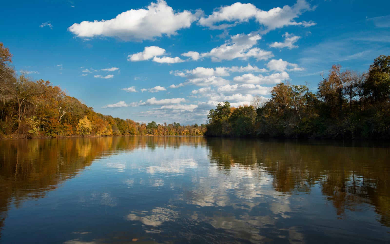 View of the Congaree River during the Fall