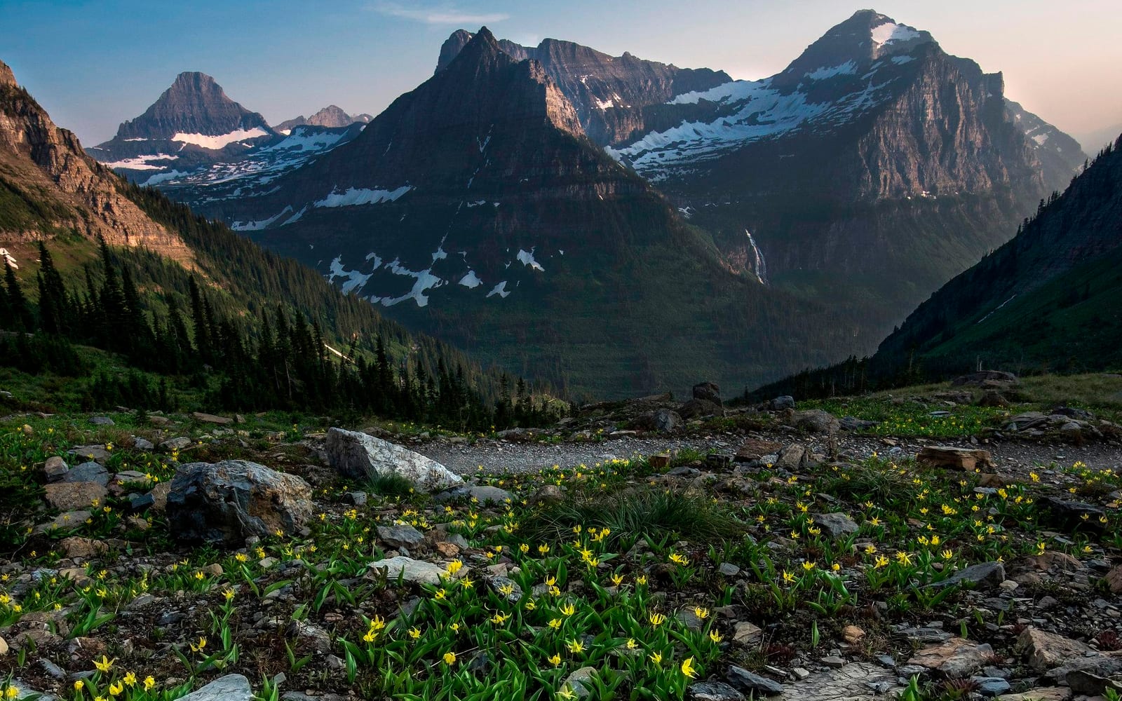 Large mountains dotted with snow loom above a rocky meadow filled with yellow flowers.