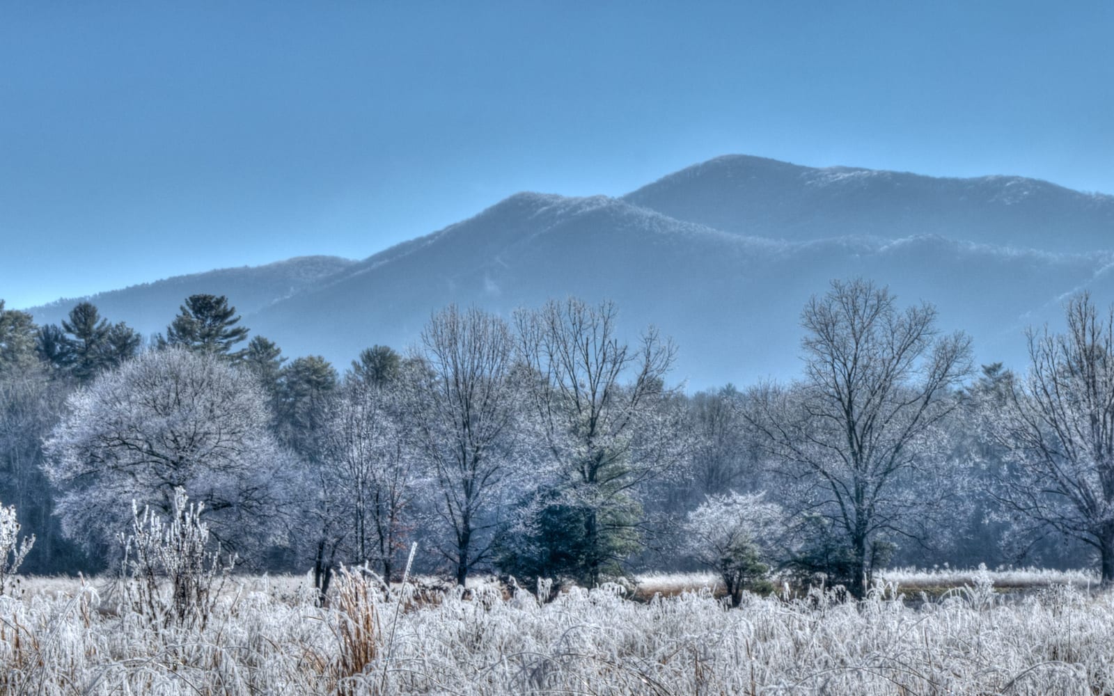 A thick layer of frost covers the fields, trees, and mountains in Cades Cove.