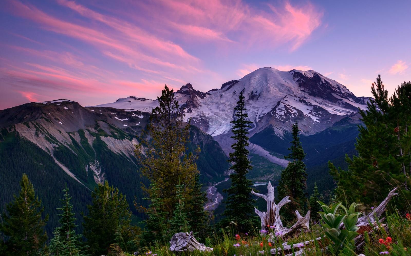 A purple and pink streaked sky over a mountain peak and forested valley.
